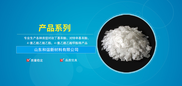 嶡,PTBP,Para-tert-butyl-phenol,CAS:98-54-4