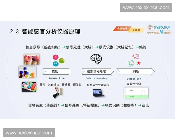 基于智能传感与数据分析的多维体育装备性能检测与评估研究