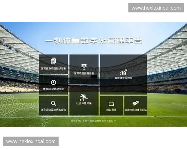 体育产业资源整合与平台化发展策略探讨及实践路径分析