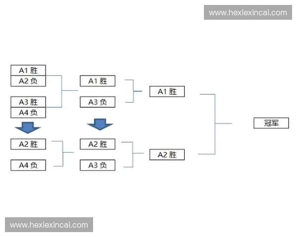体育标准化发展与实施路径研究：提升竞技水平与全民健身协同推进